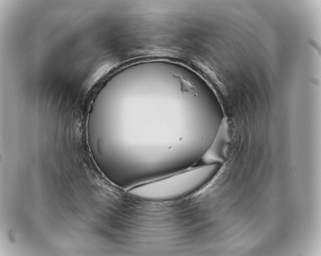 X0000095901163200802011122