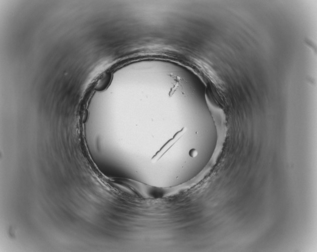 X0000095901164200802011122