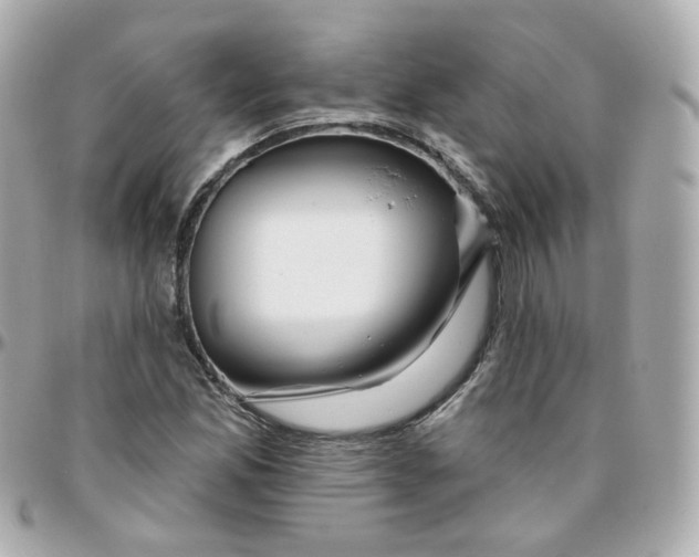 X0000095901165200802011122