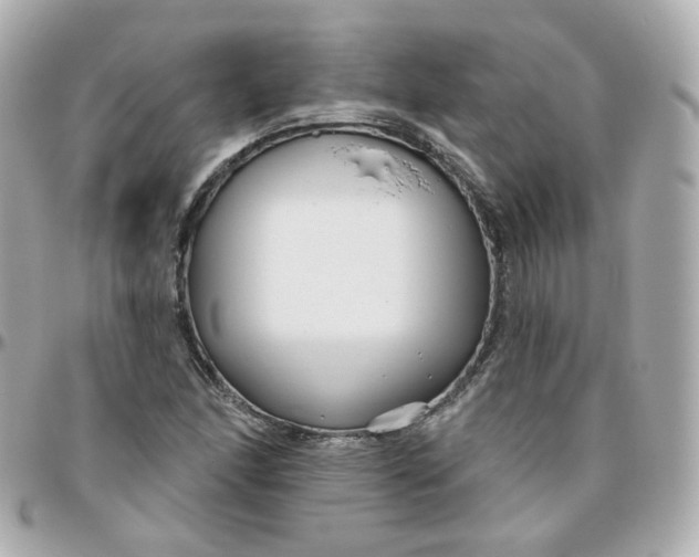 X0000095901166200802011122