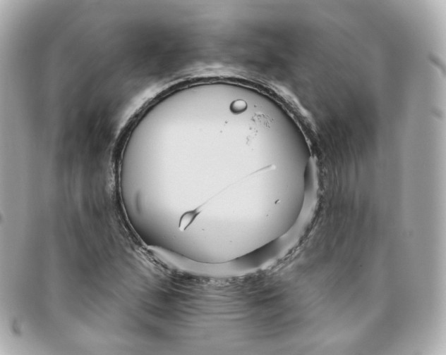 X0000095901167200802011122