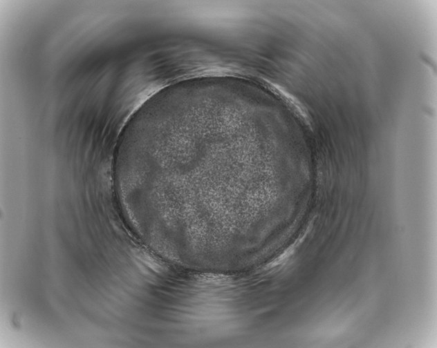 X0000095901170200802011122