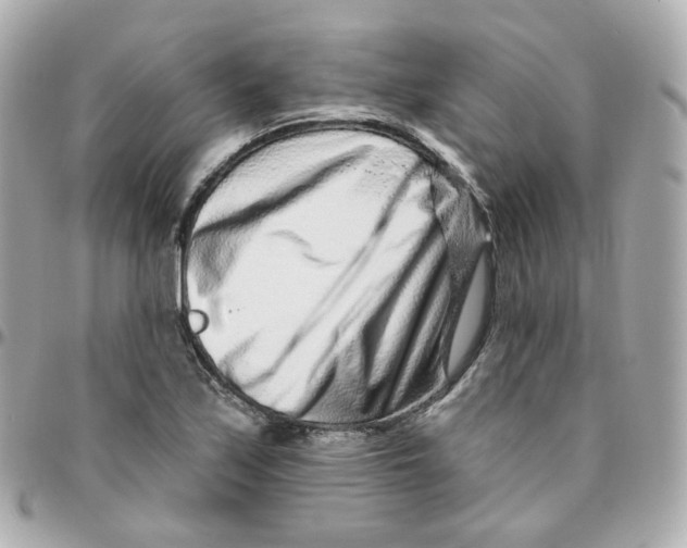 X0000095901171200802011122