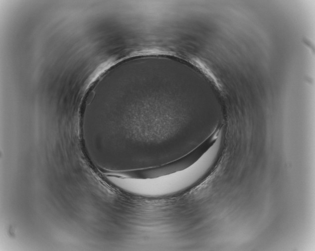 X0000095901173200802011121