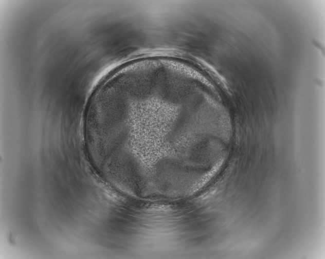 X0000095901174200802011121