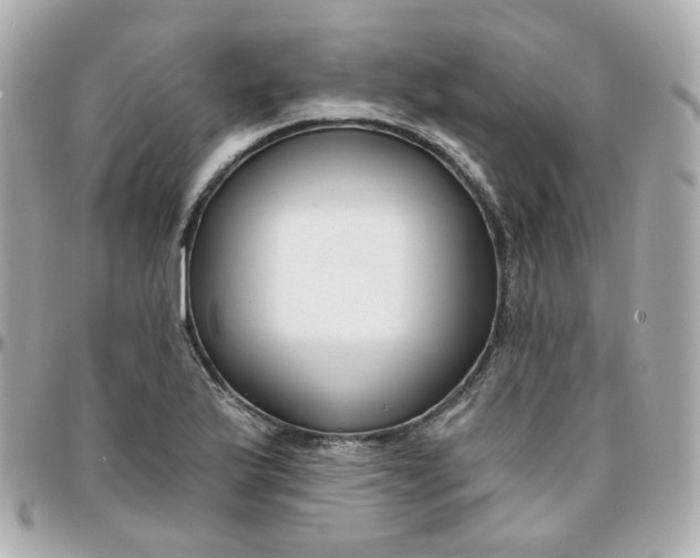 X0000095901175200802011121