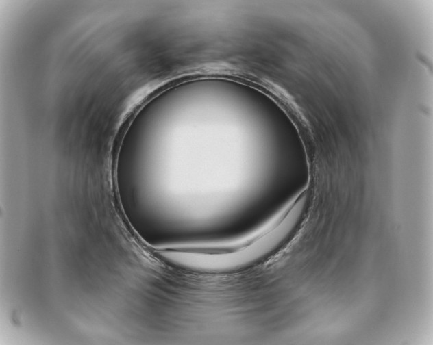 X0000095901176200802011121