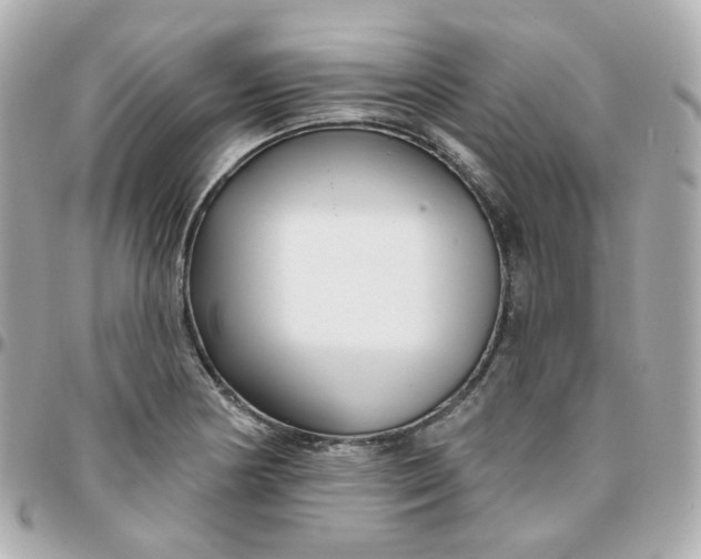 X0000095901178200802011121