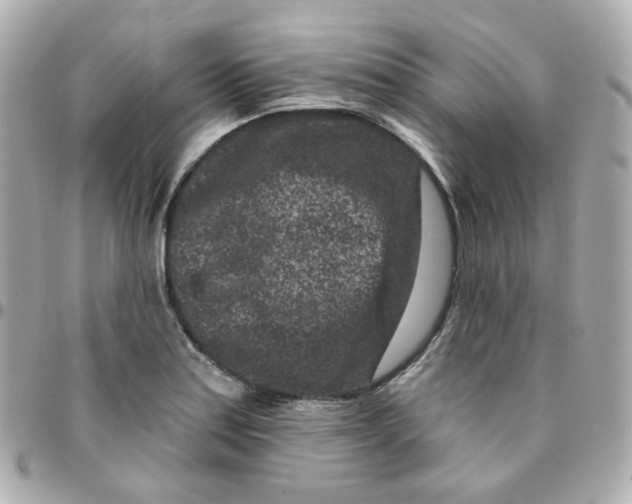 X0000095901179200802011121