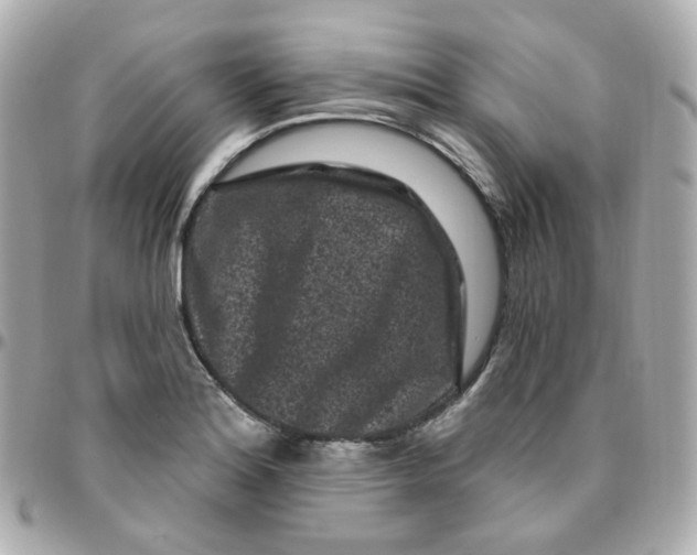 X0000095901180200802011121