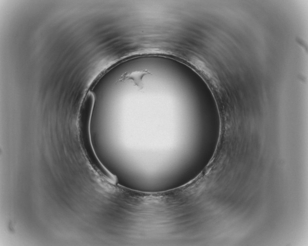 X0000095901181200802011121