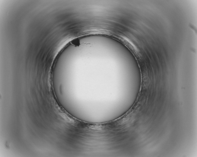 X0000095901182200802011121