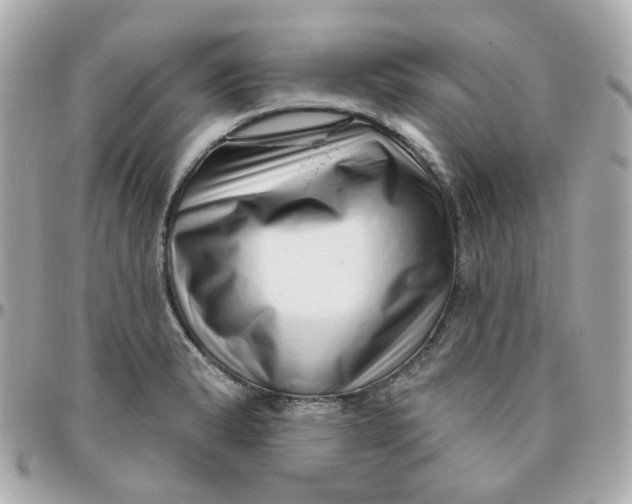 X0000095901183200802011121