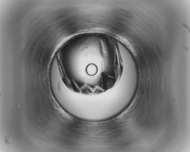 X0000095901184200802011121