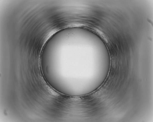 X0000095901186200802011121