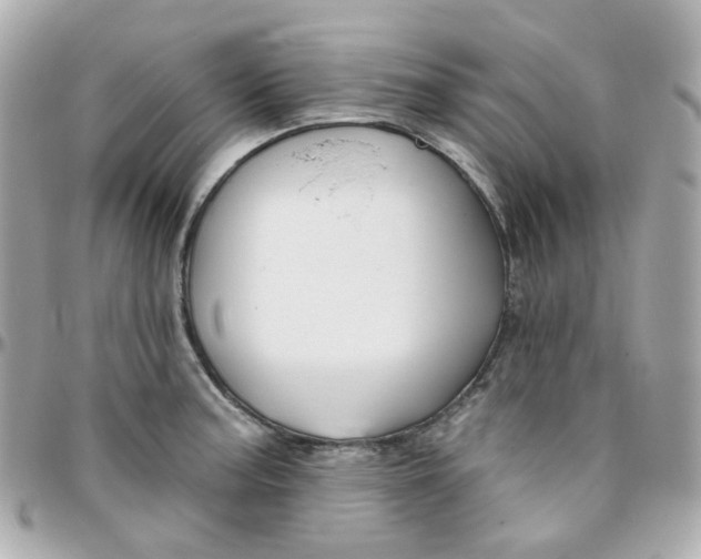 X0000095901187200802011121