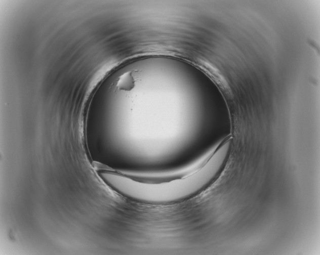 X0000095901188200802011121