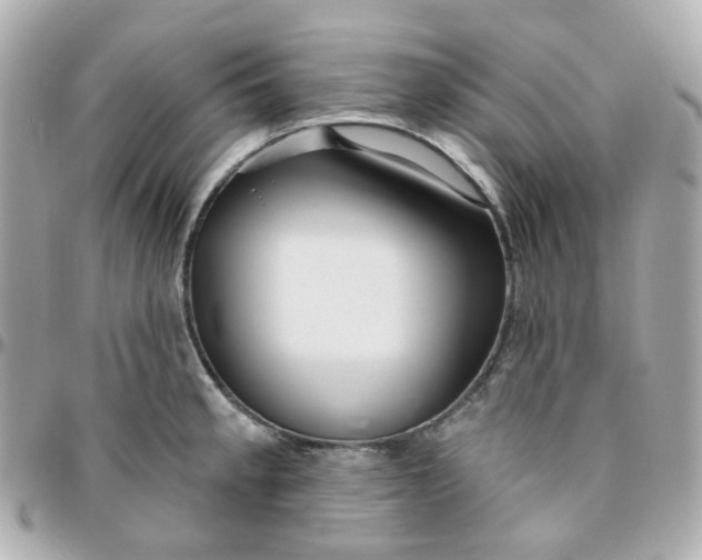 X0000095901189200802011121