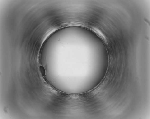 X0000095901190200802011121