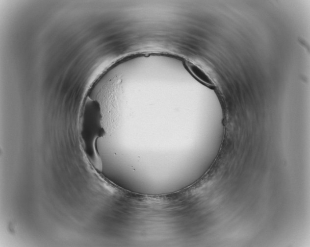 X0000095901191200802011121