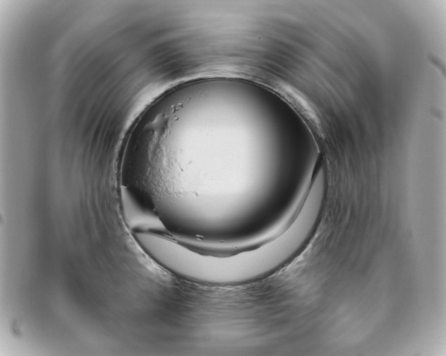 X0000095901192200802011121