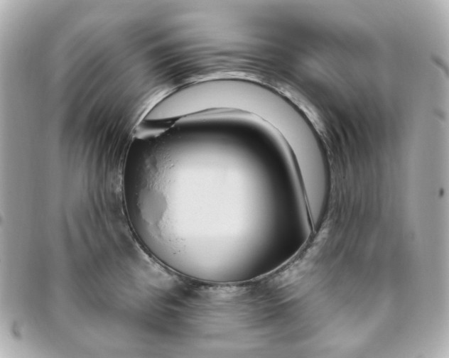 X0000095901193200802011121