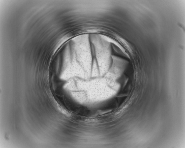 X0000095901194200802011121