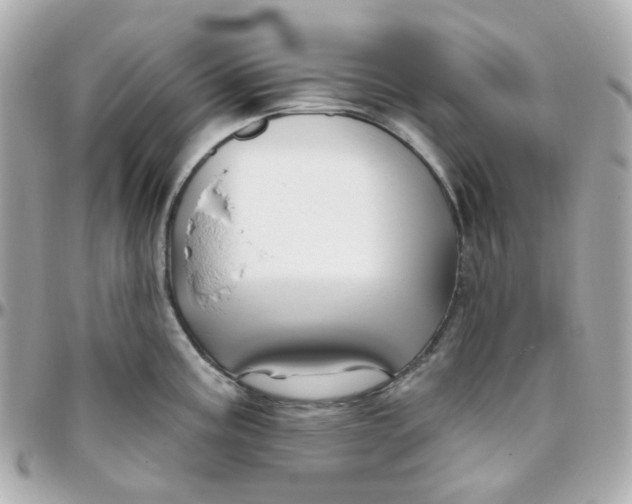 X0000095901195200802011121