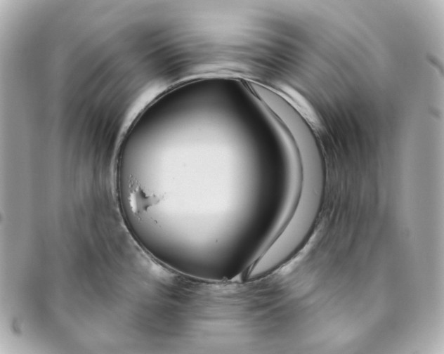 X0000095901196200802011121