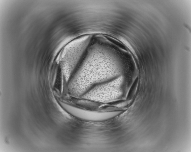 X0000095901197200802011121