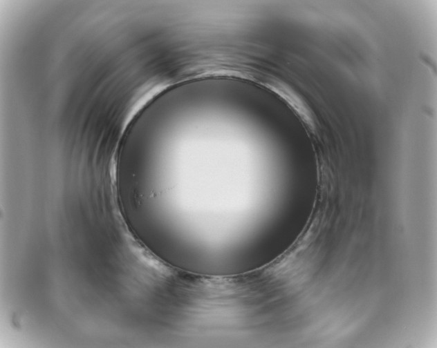 X0000095901198200802011121