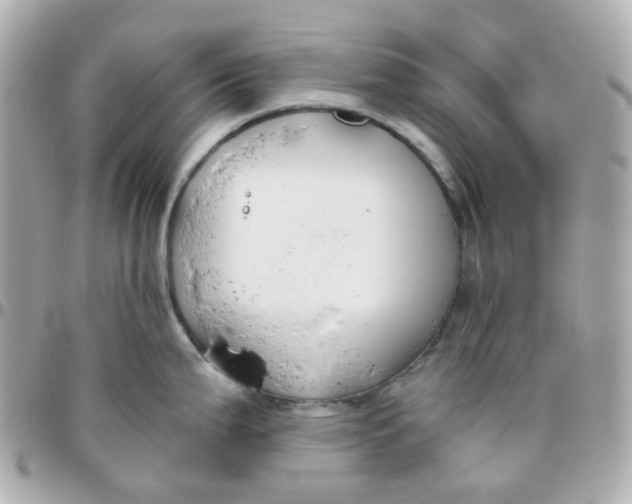 X0000095901199200802011121