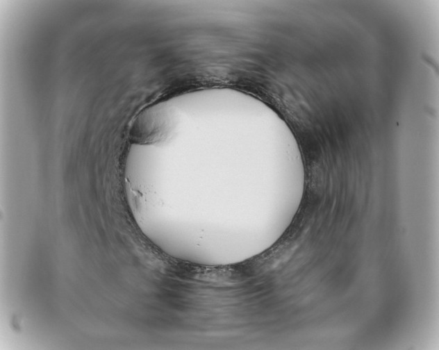 X0000095901201200802011120