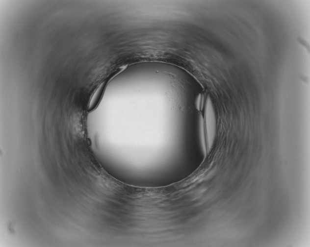 X0000095901202200802011120