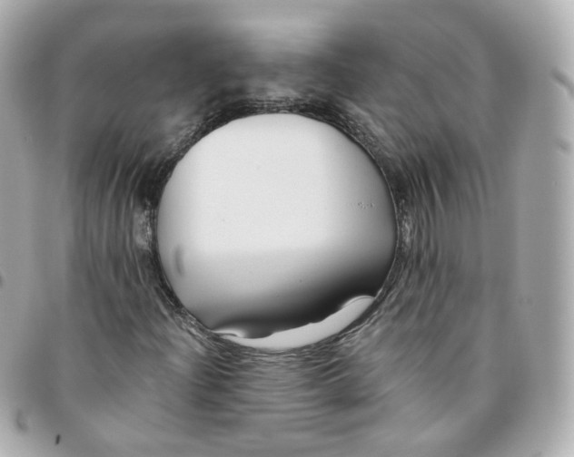 X0000095901204200802011120