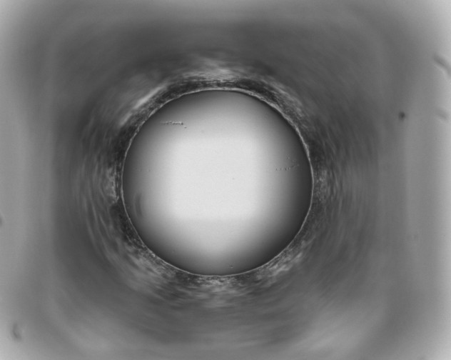 X0000095901205200802011121