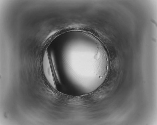 X0000095901206200802011121