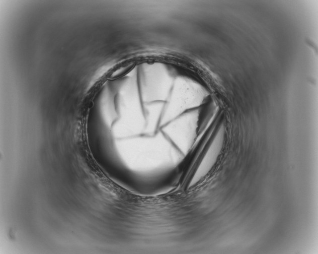 X0000095901208200802011121