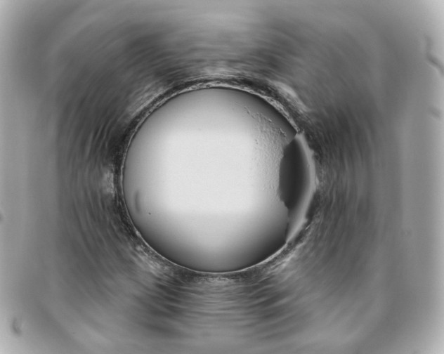 X0000095901209200802011121