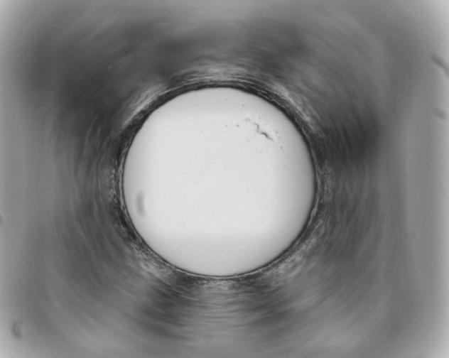 X0000095901211200802011121