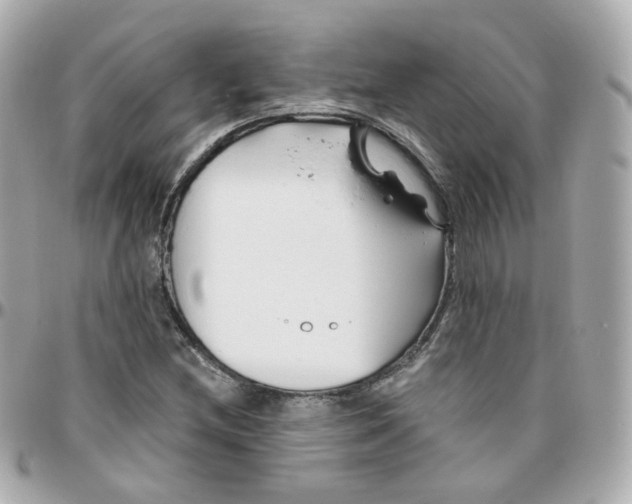 X0000095901212200802011121