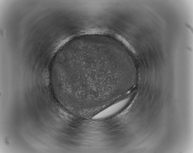 X0000095901213200802011121