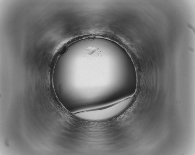 X0000095901214200802011121