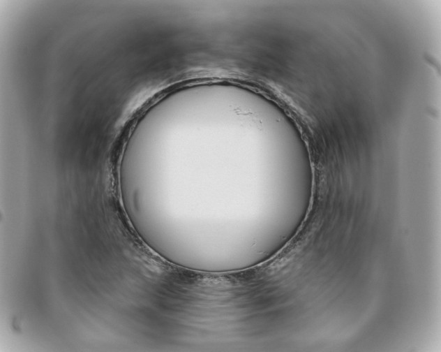 X0000095901215200802011121