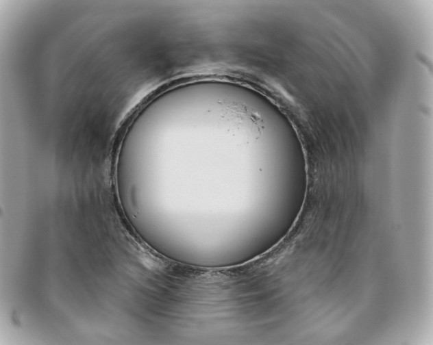 X0000095901216200802011121