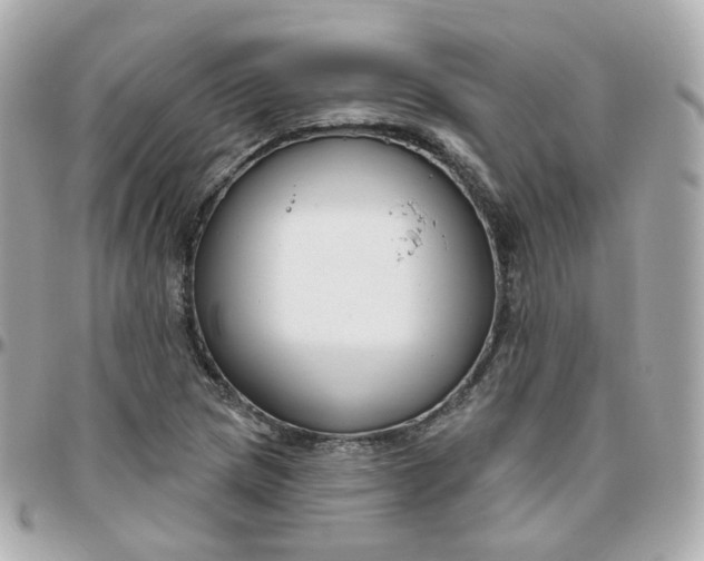 X0000095901217200802011121