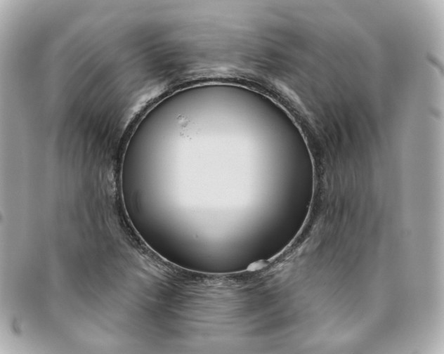 X0000095901218200802011121