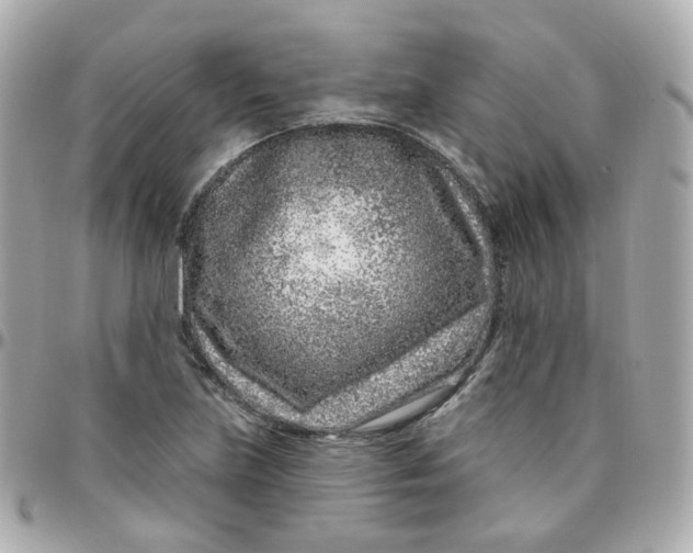 X0000095901219200802011121