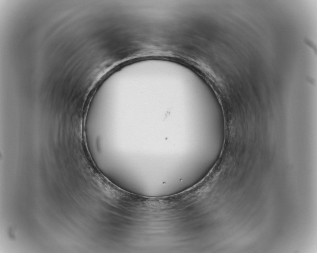 X0000095901220200802011121