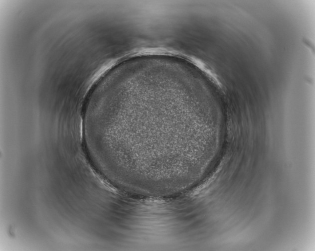 X0000095901221200802011121